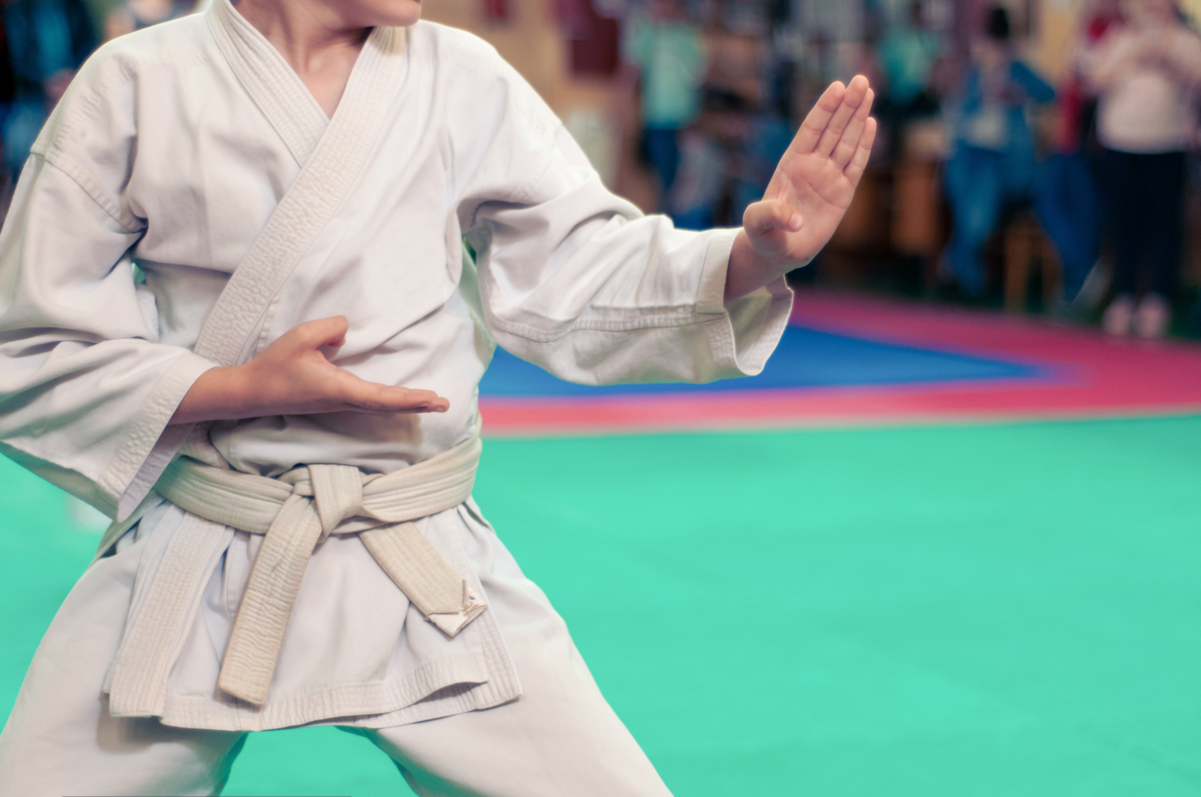 karate kid