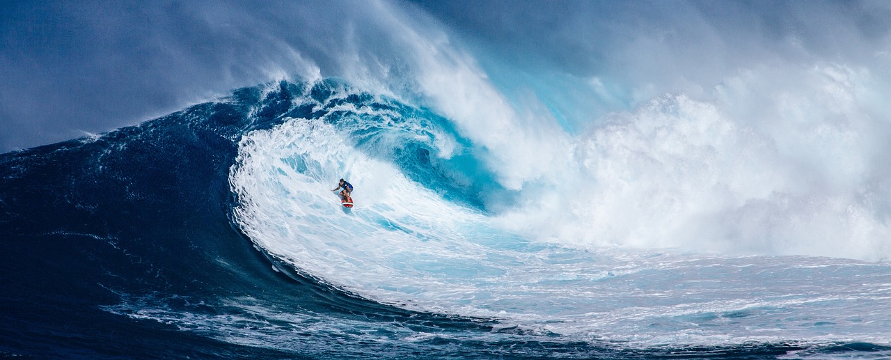 surf