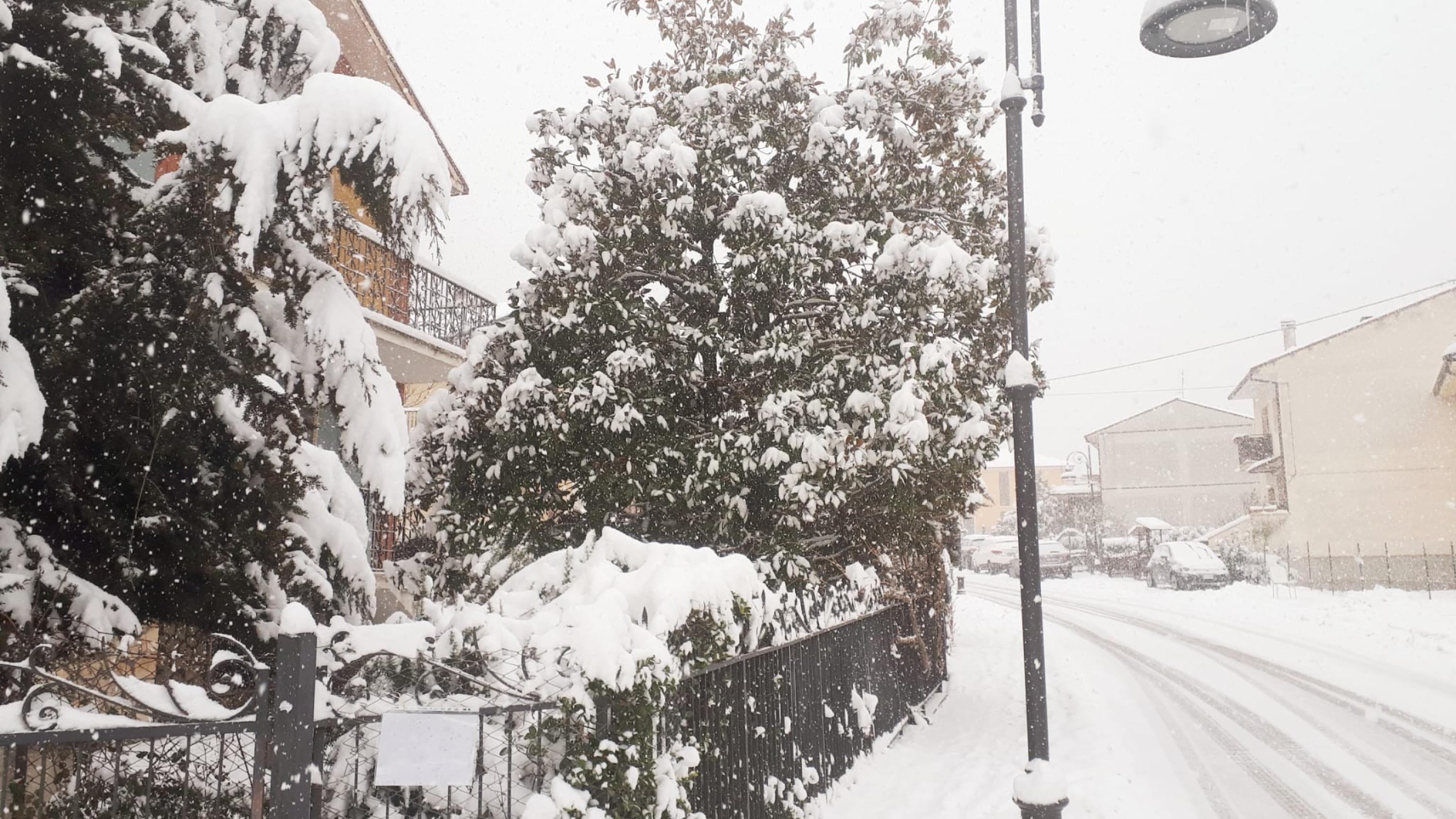 neve