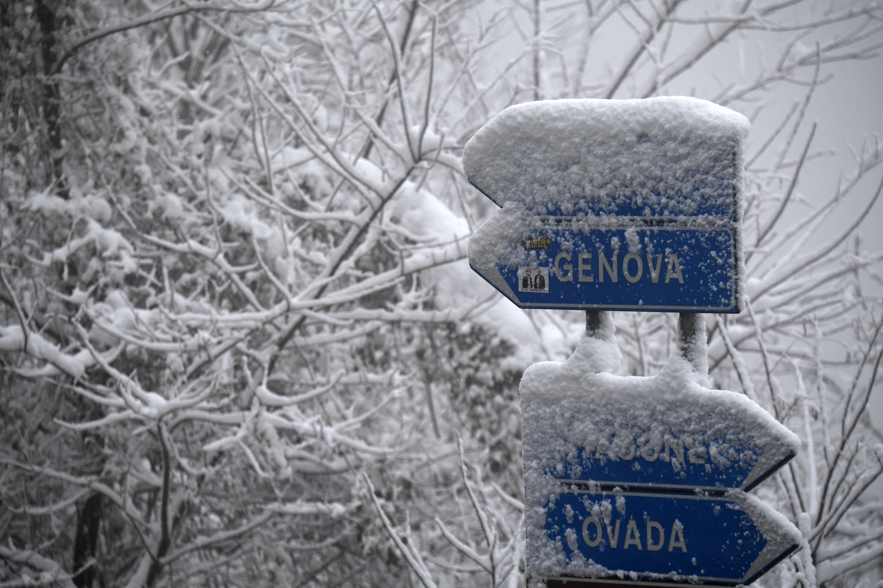 neve
