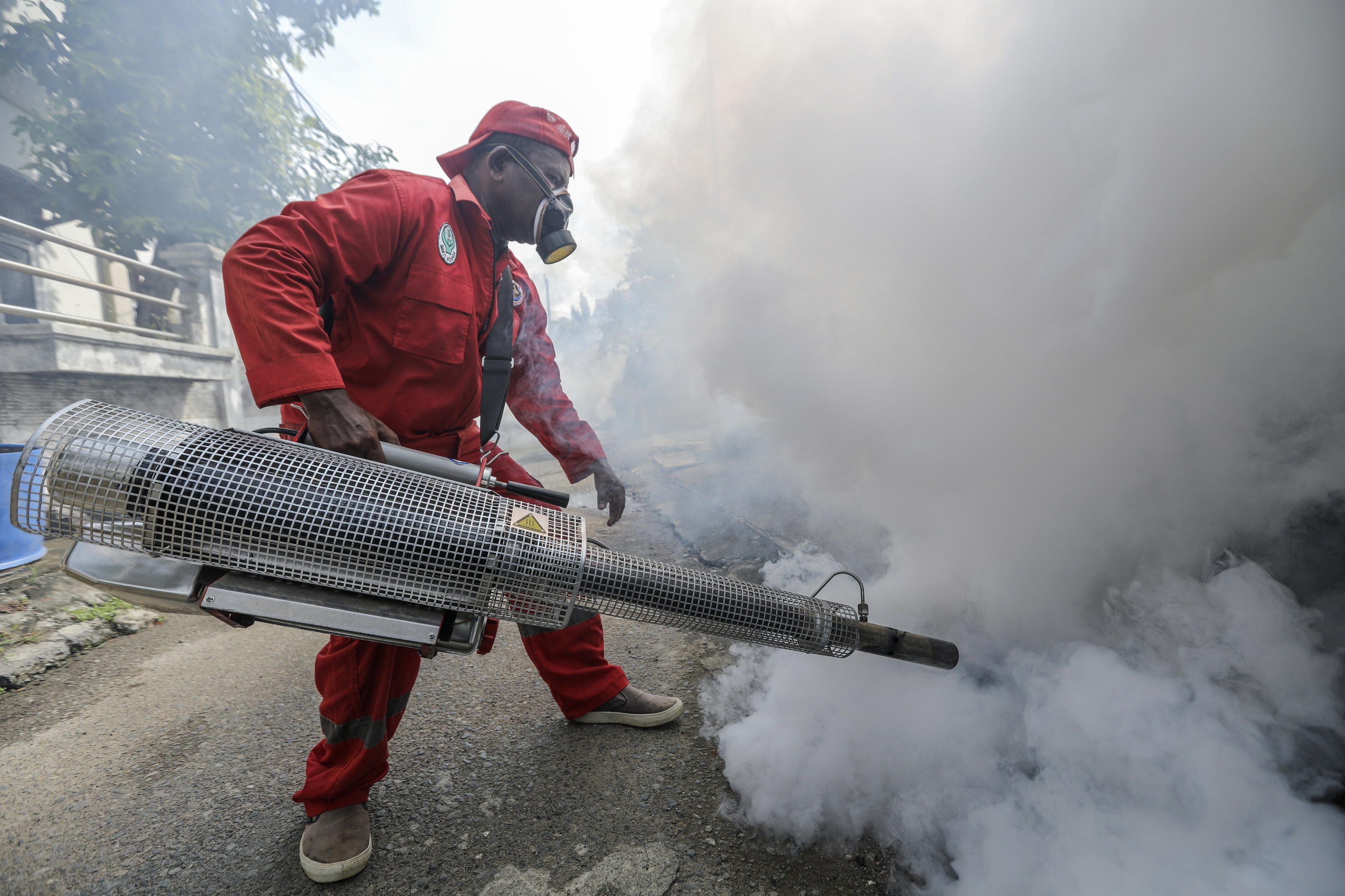dengue