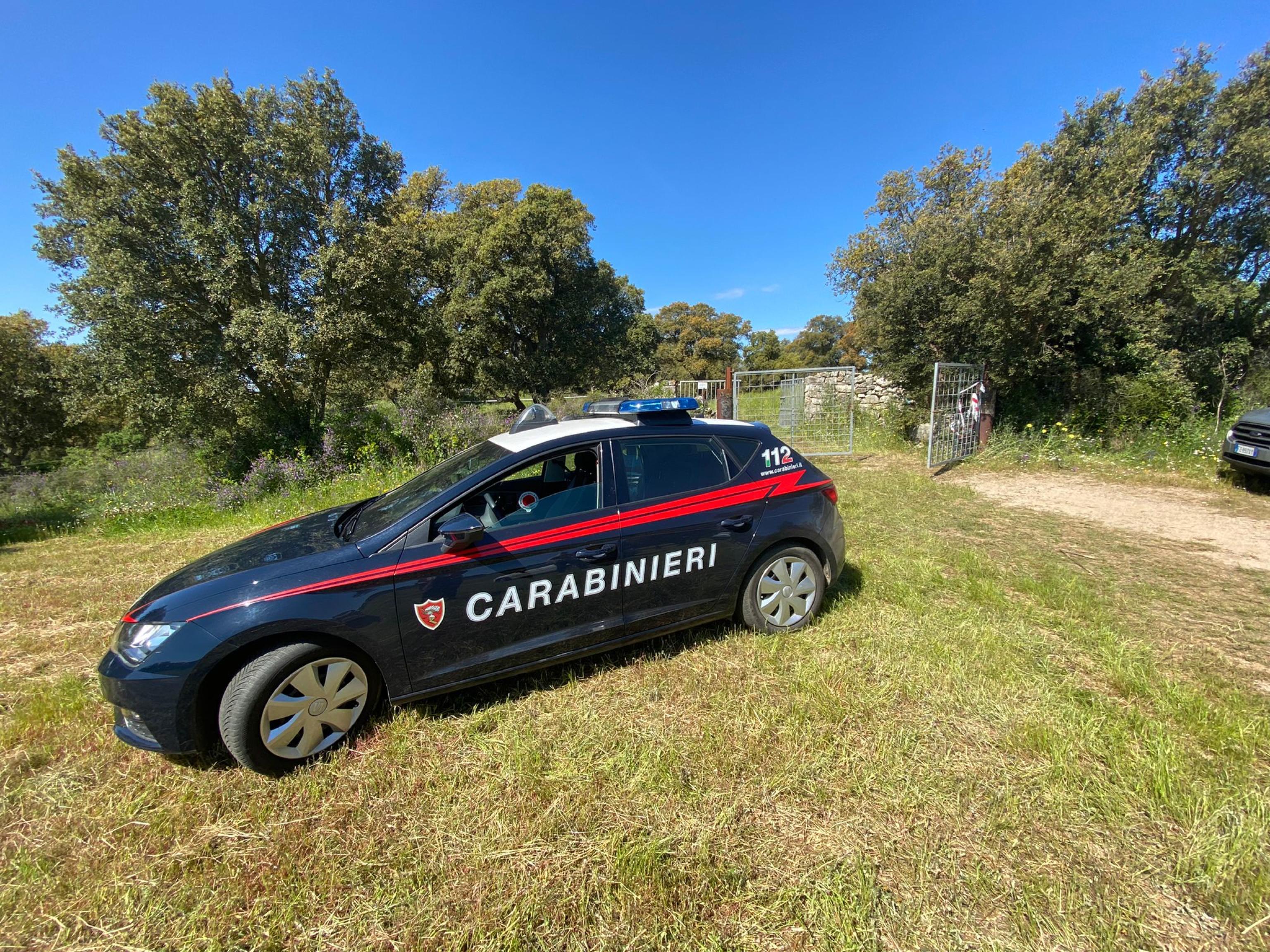 carabinieri