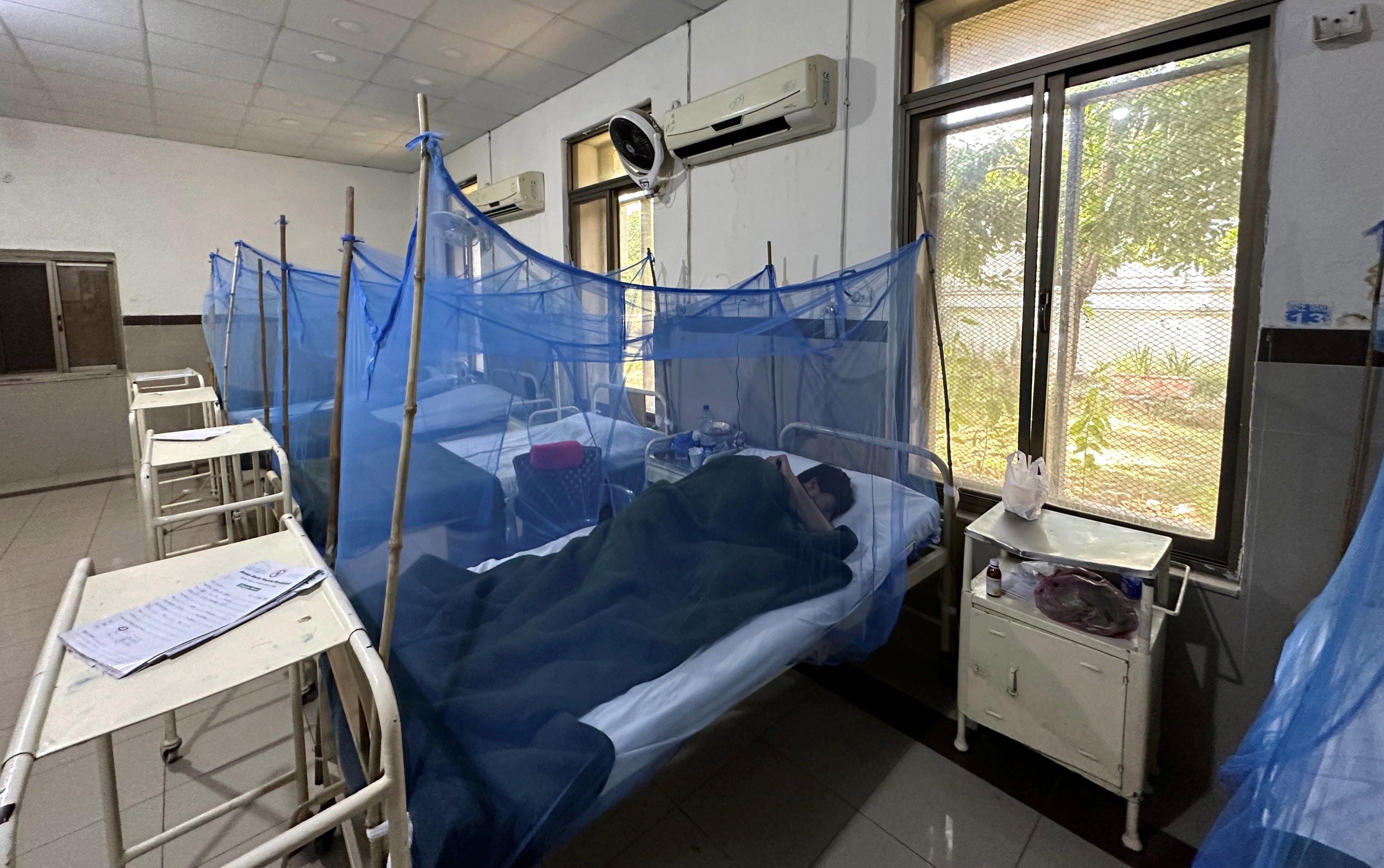 dengue