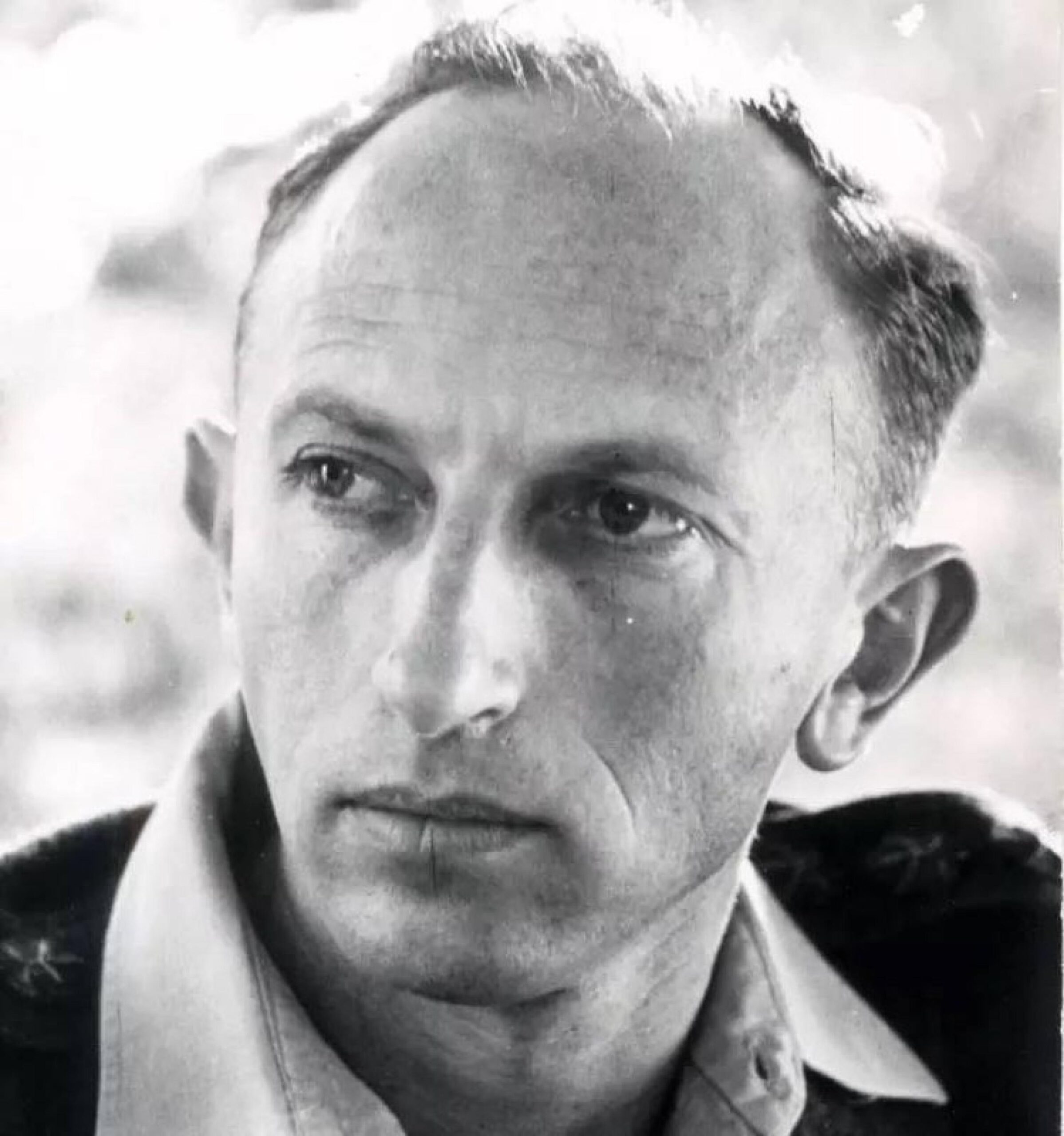 zvi zamir