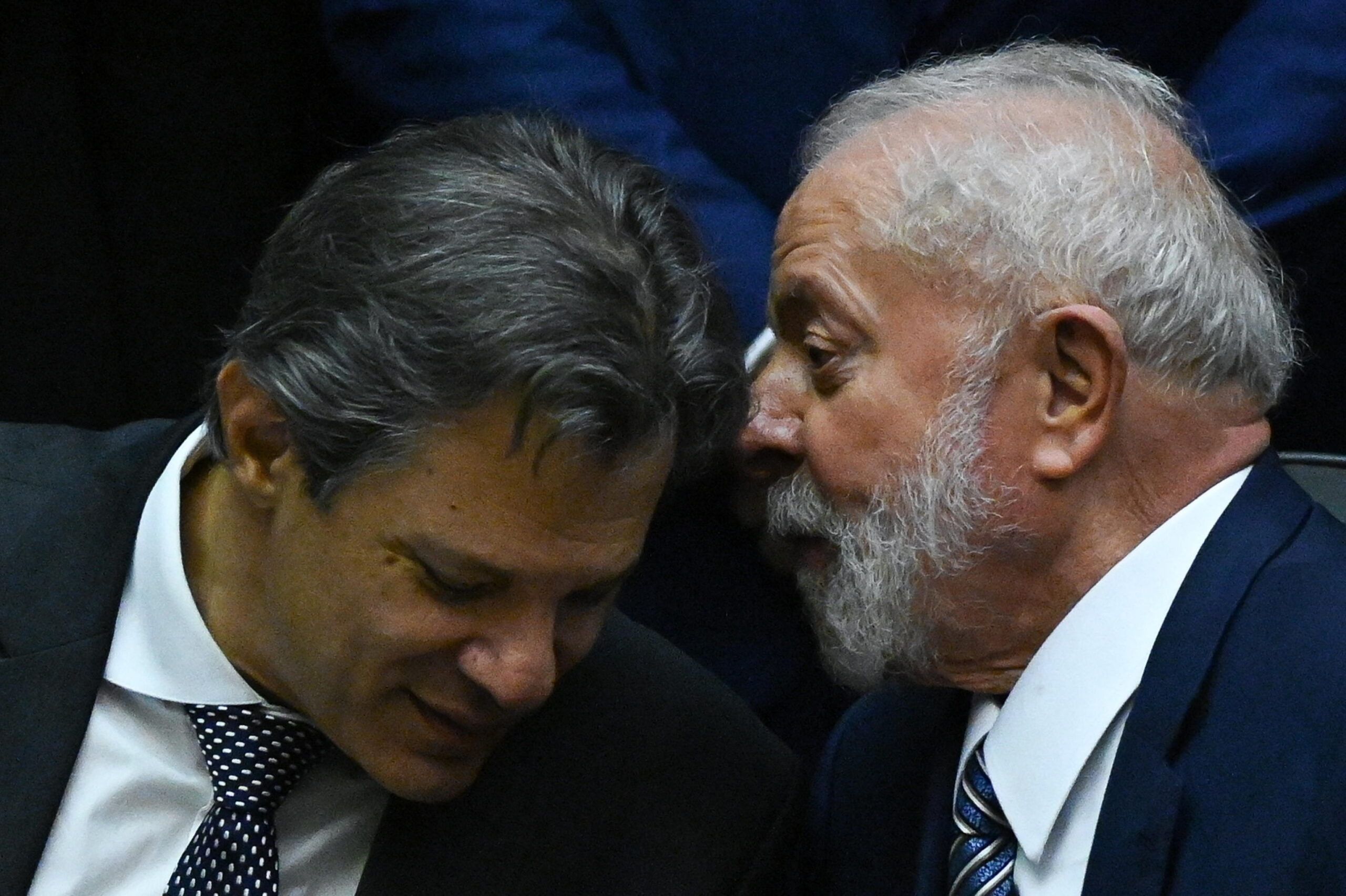 fernando haddad