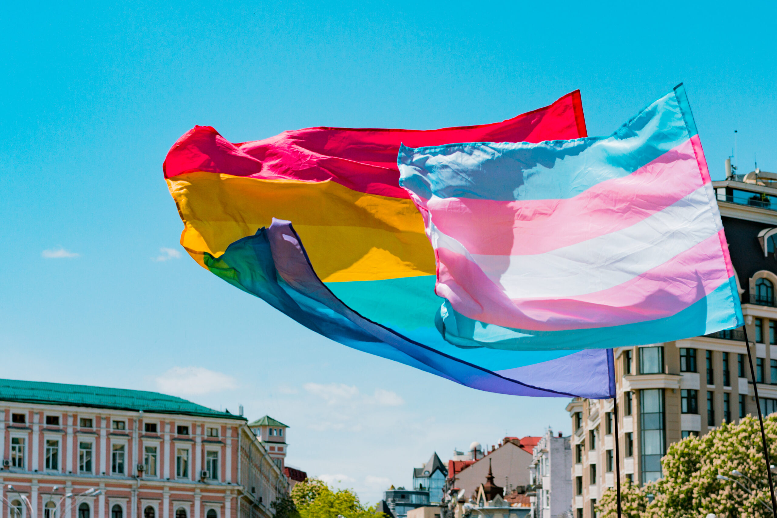 trans flag