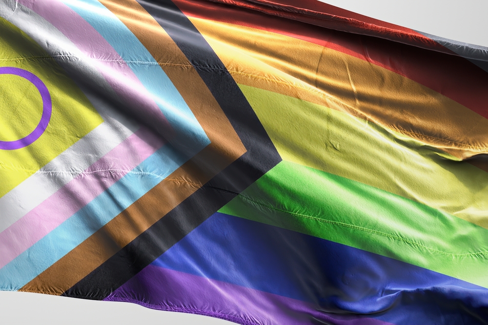 BANDIERA LGBTQUIA+