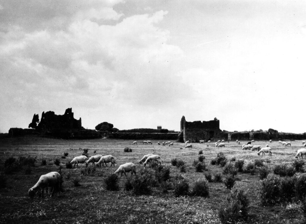 appia antica antonio cederna