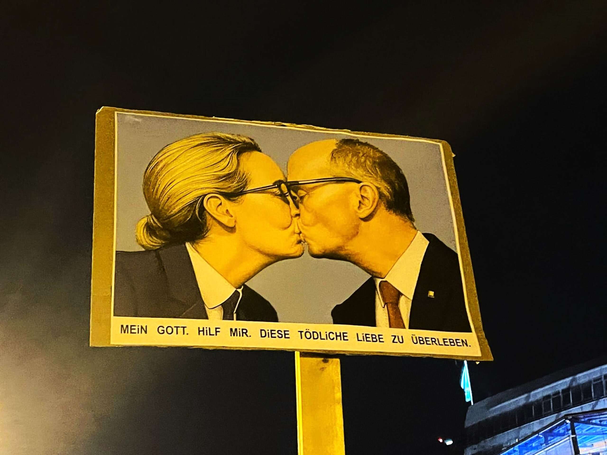 elezioni in germania